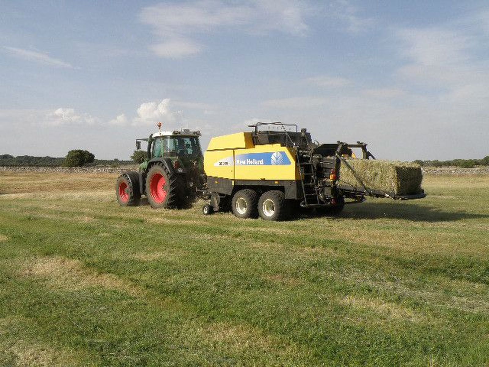 El plazo para la presentación de la solicitud única de la PAC 2017 mantiene su finalización el 15 de mayo 