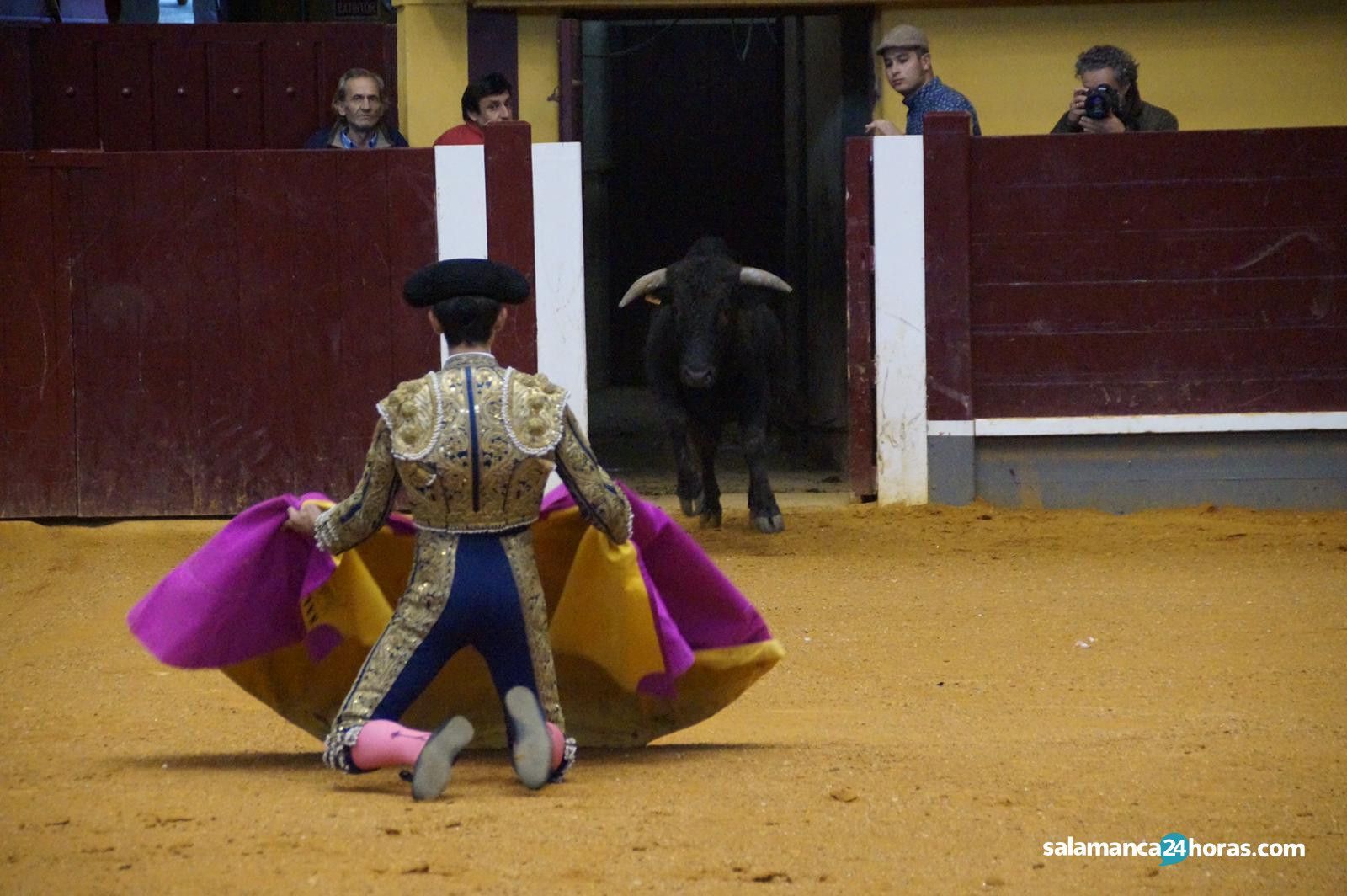 Novillada en alba de tormes (122)