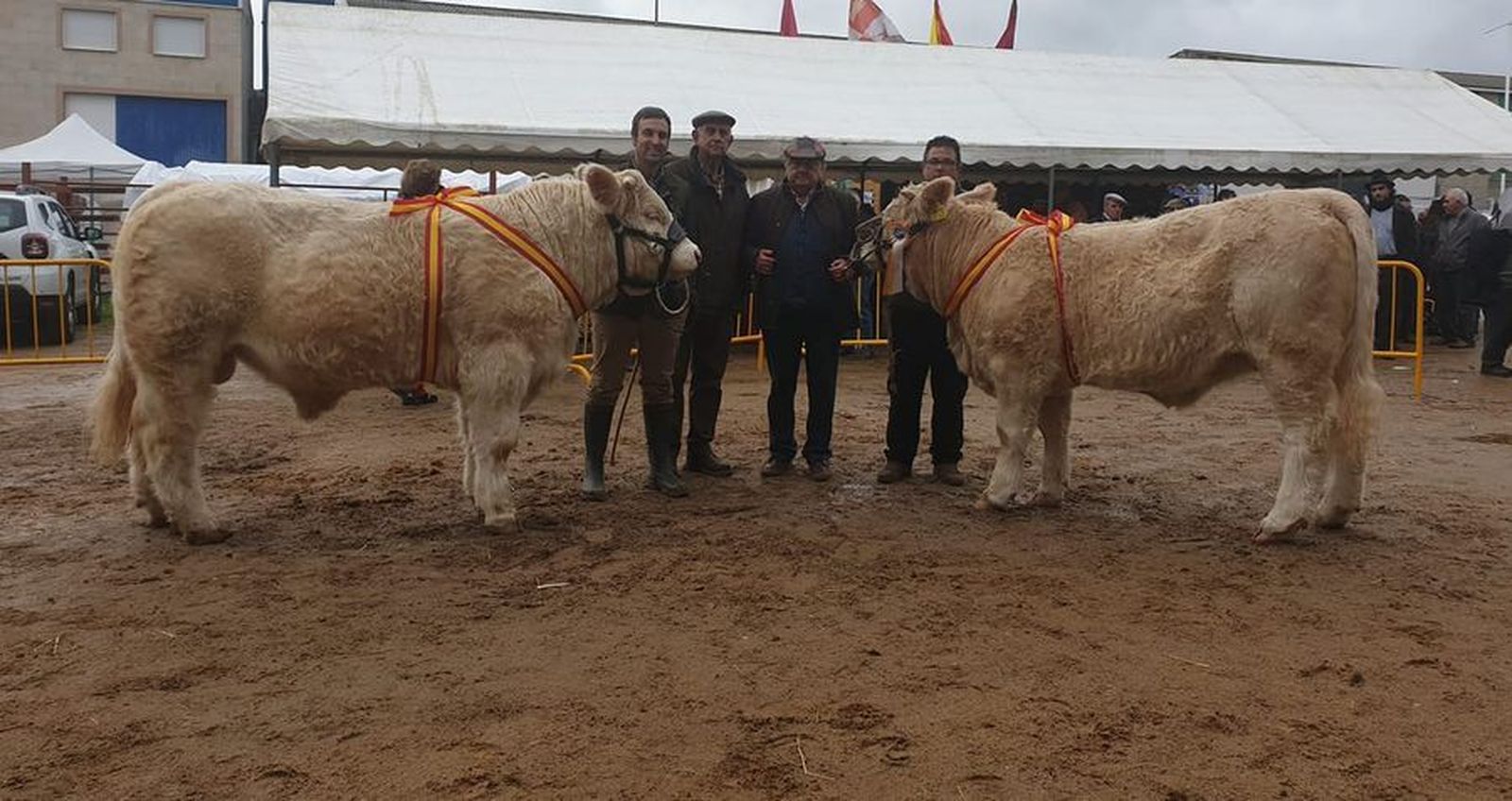 Subcampeones asociacion