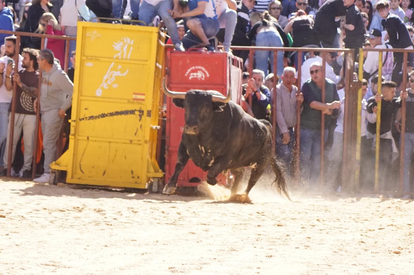 whatsapp-image-2025-04-26-at-19-02-02