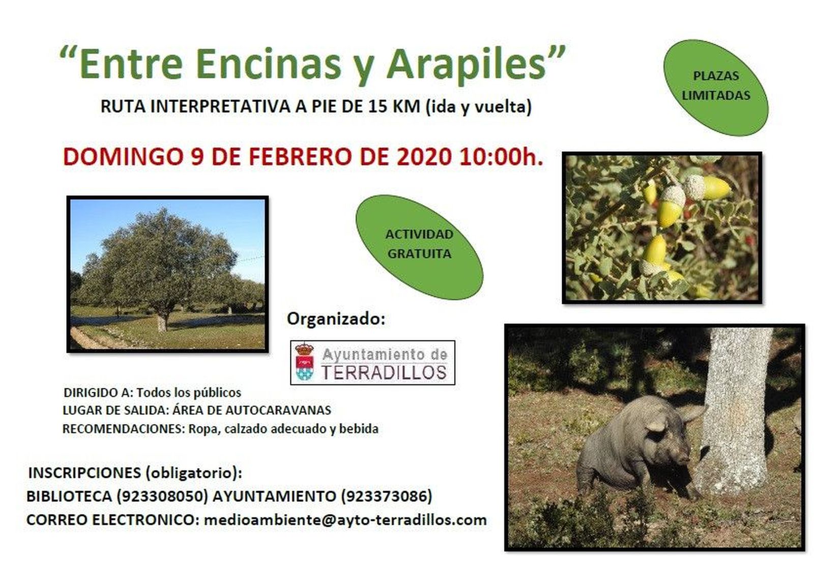 Entre Encinas y Arapiles