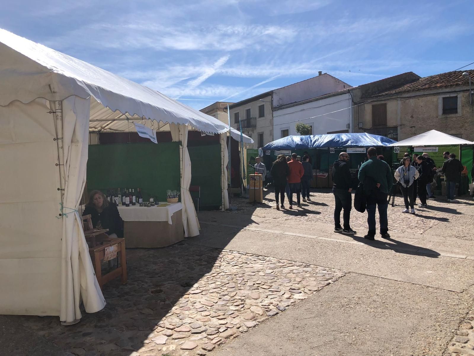 whatsapp-image-2024-05-04-at-11-58-14-2