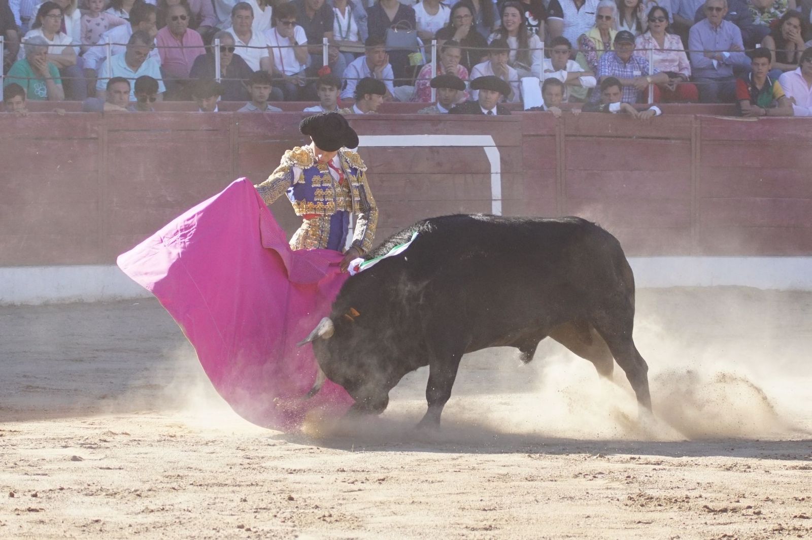 whatsapp-image-2024-06-02-at-22-12-16