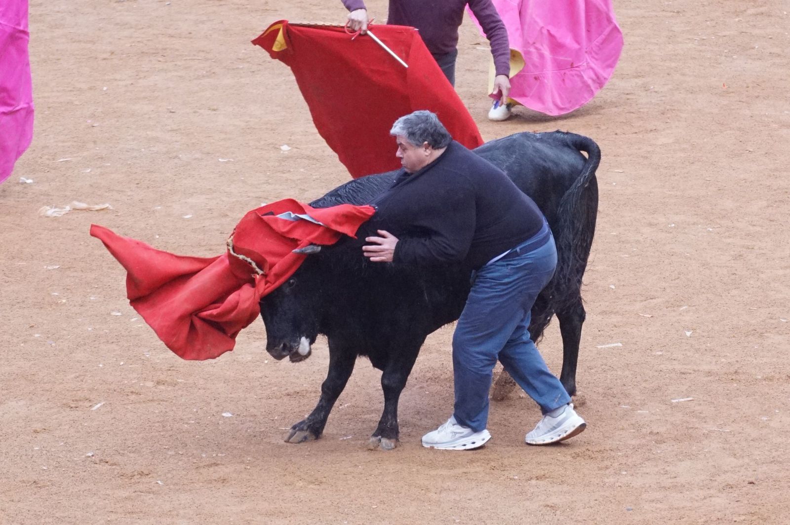 Capea matinal de domingo de carnaval en Ciudad Rodrigo (51).jpeg