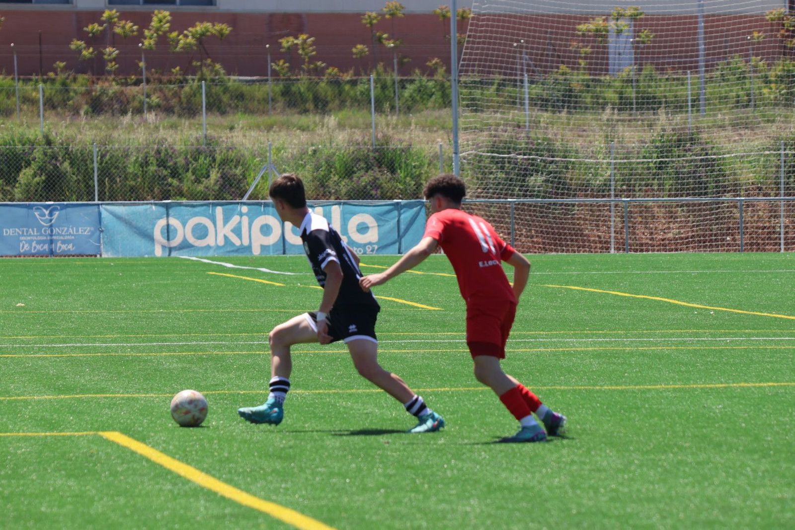 20240421124825-img-0696