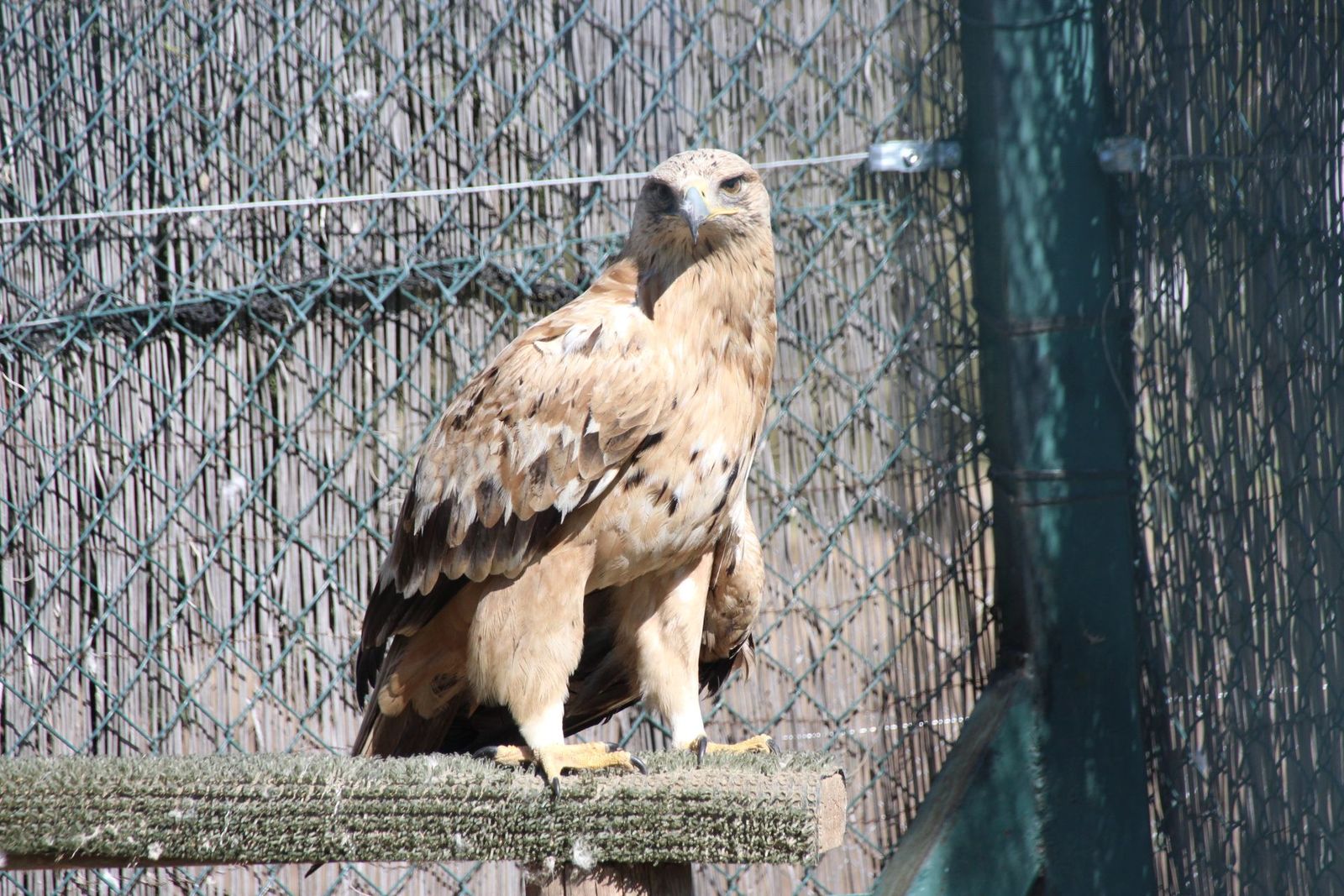 20230304151021-img-1641