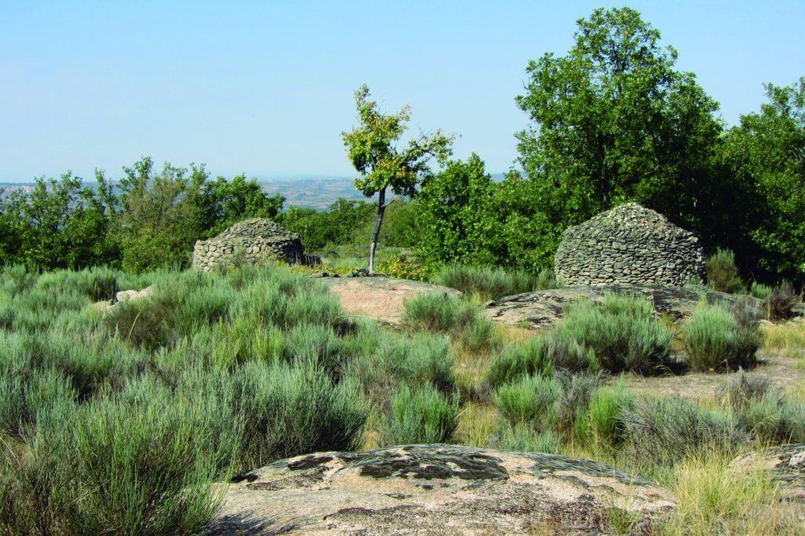 (I) De ruta por la Senda del Duero occidental: El Camino de los Regatos