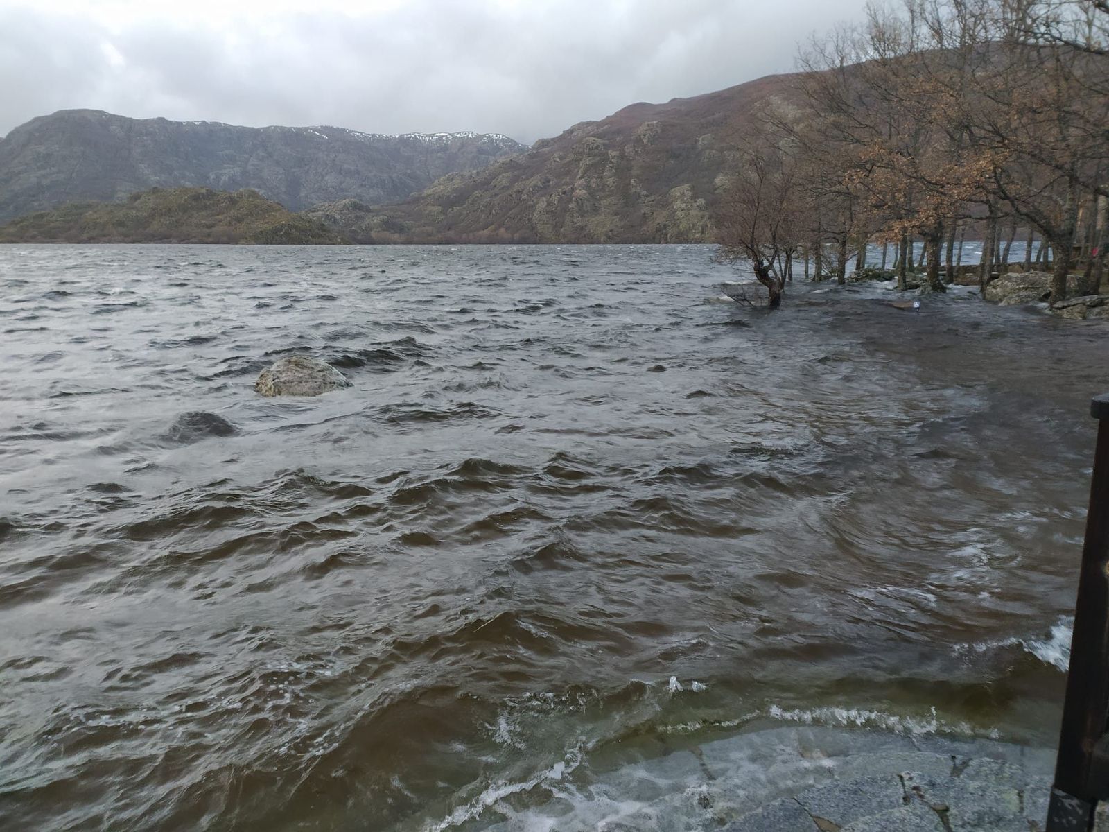 WhatsApp Image 2020 12 11 at 17.58.36