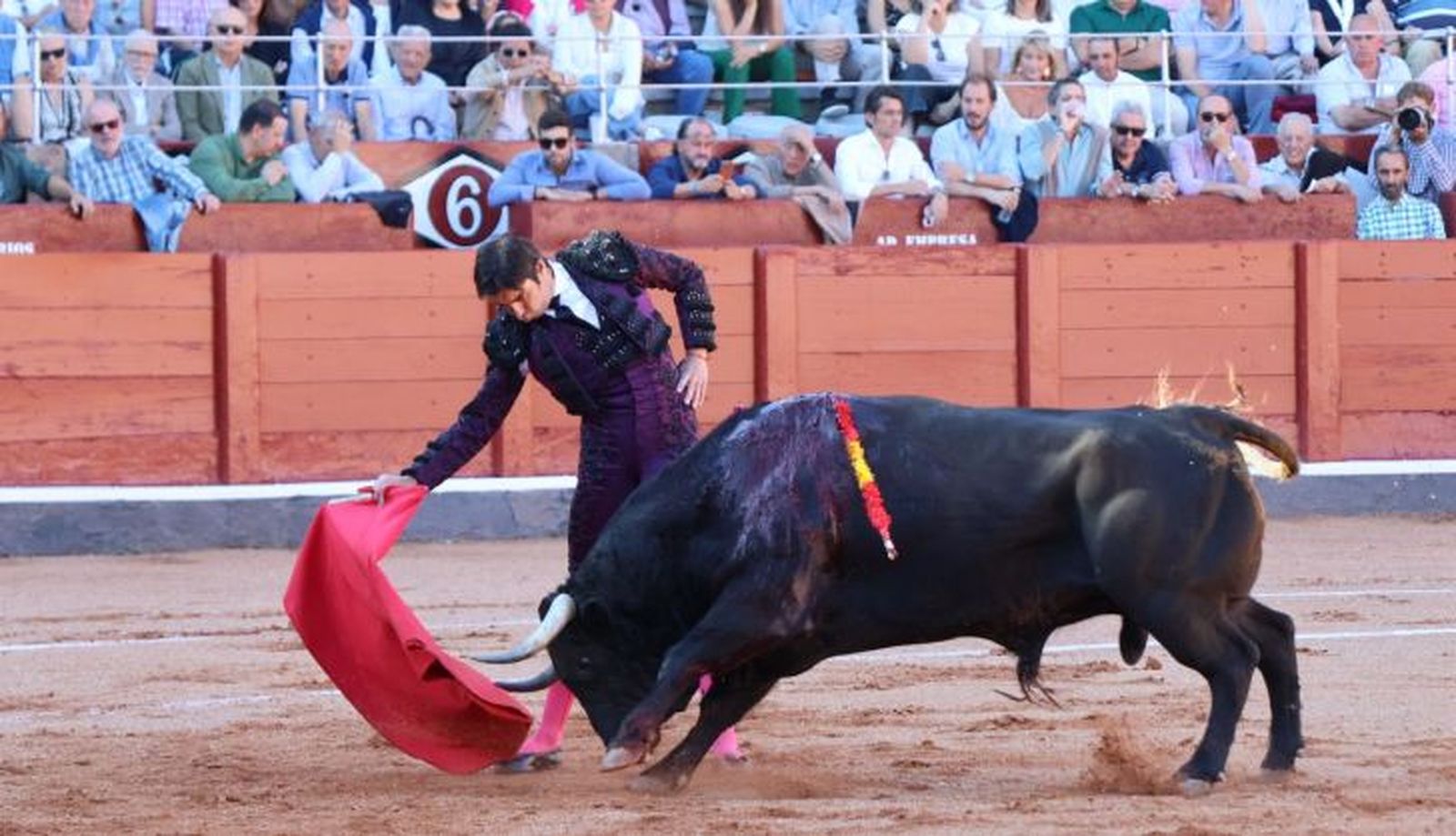 Corrida de El Vellosino: momentos más destacados del tercer festejo de abono de la Feria Taurina Virgen de la Vega 2024. Fotos Andrea M.