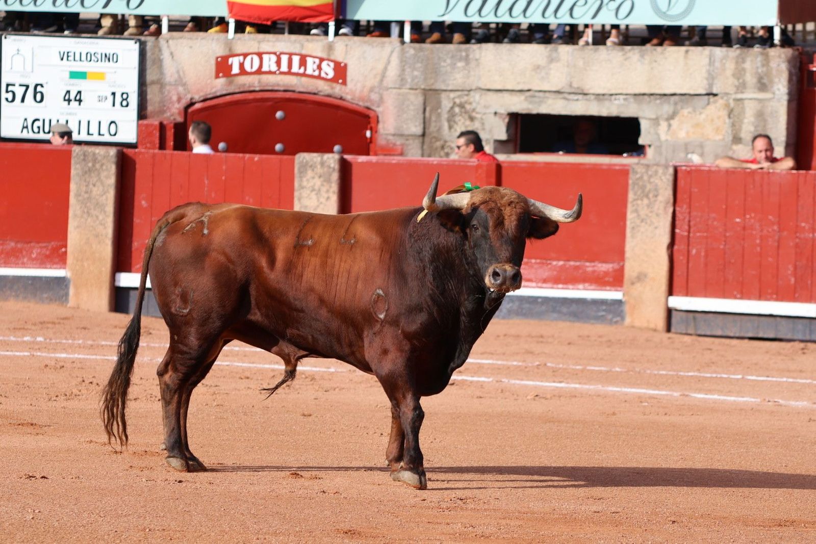 20230910173629-img-1803