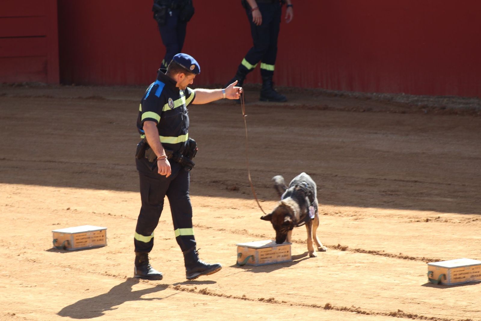 20230905123106-img-7978