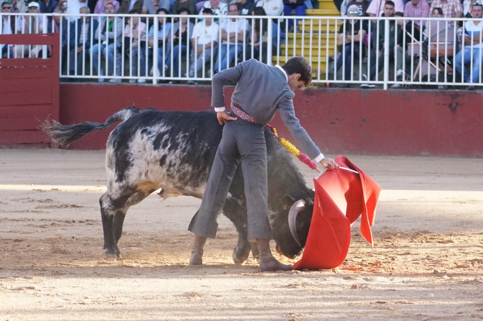 whatsapp-image-2024-09-07-at-20-48-37-1