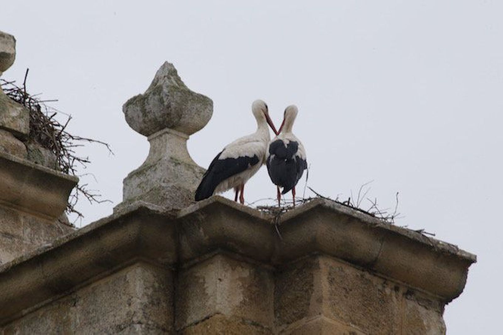 Bajan las temperaturas.