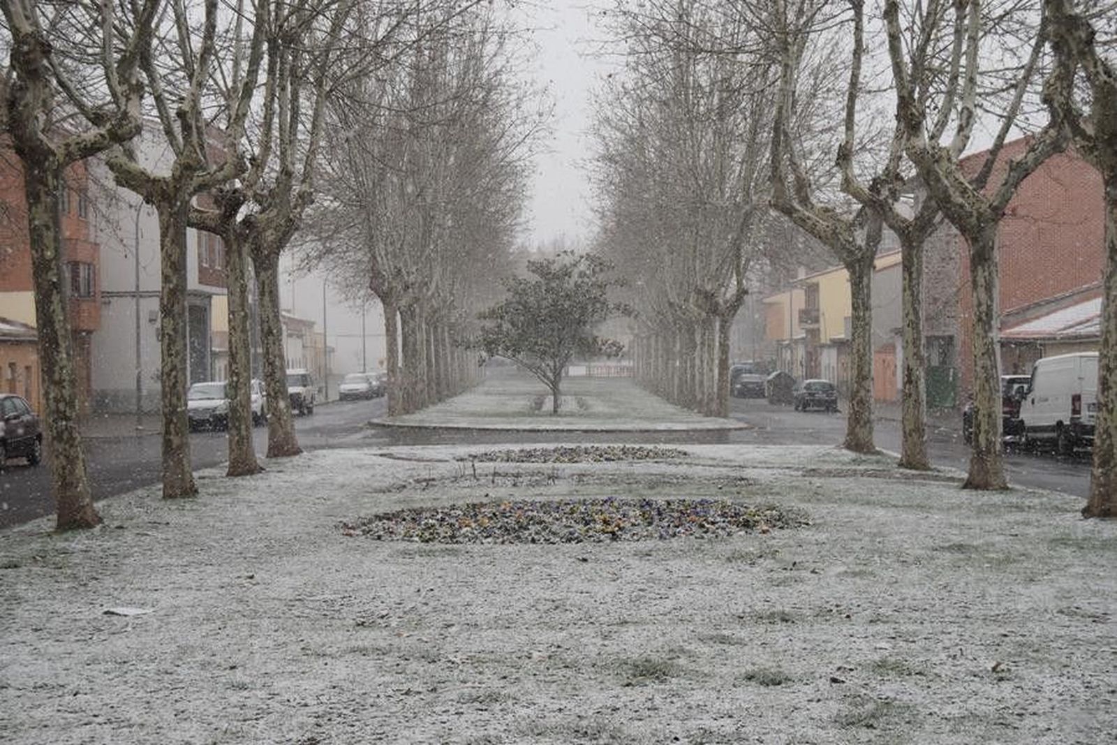 NieveZamora (14) NieveZamora (14)