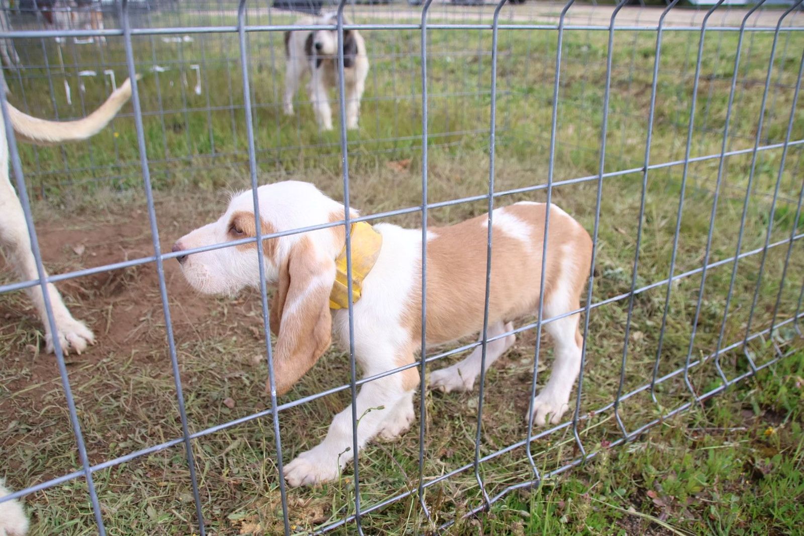 20240501103826-img-2943