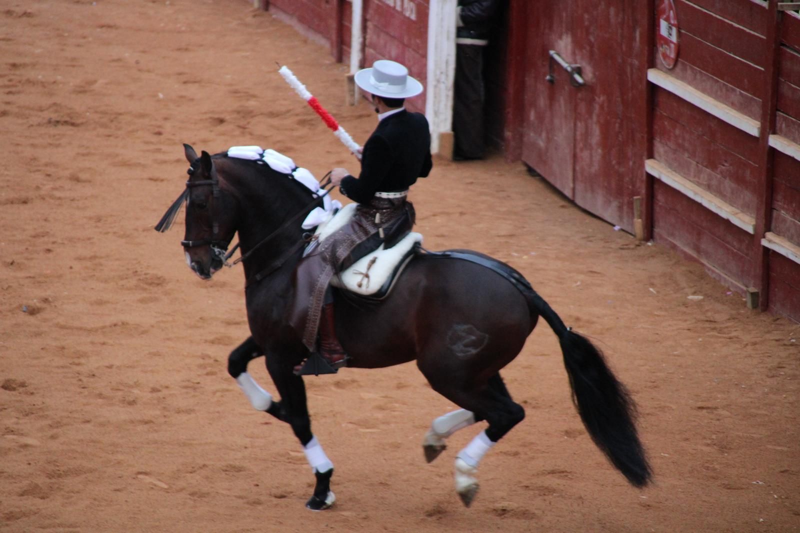 whatsapp-image-2025-03-02-at-18-56-03-1