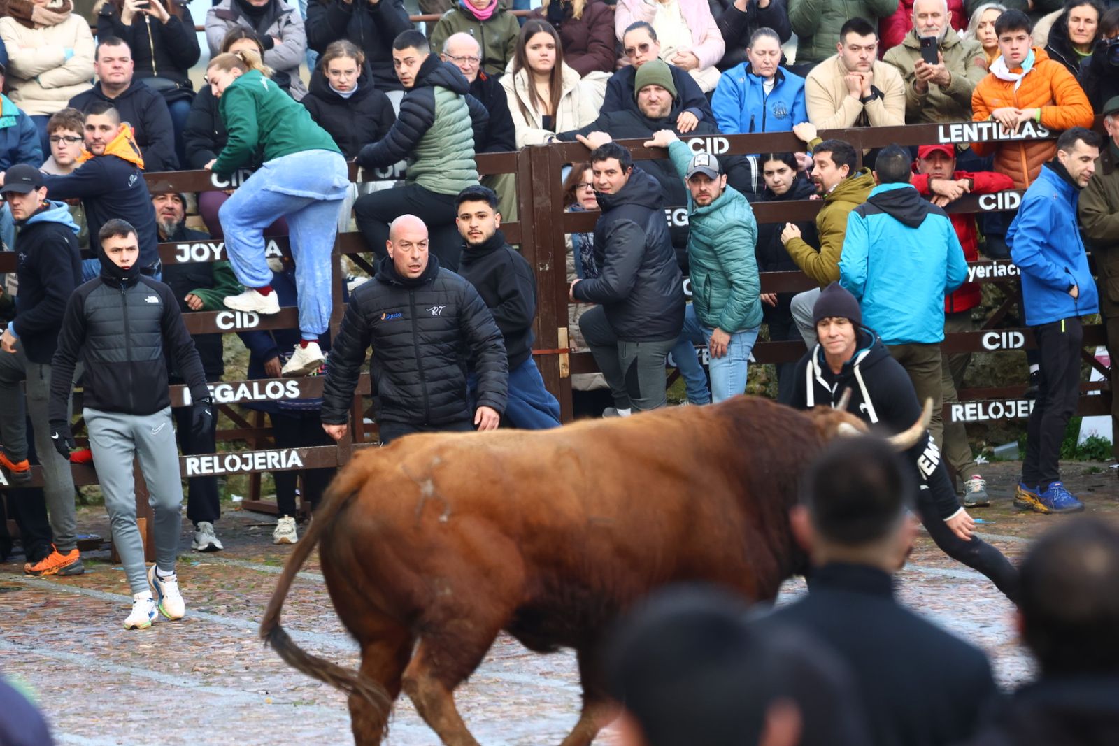 Toro del aguardiente en la mañana de martes del Carnaval del Toro 2026