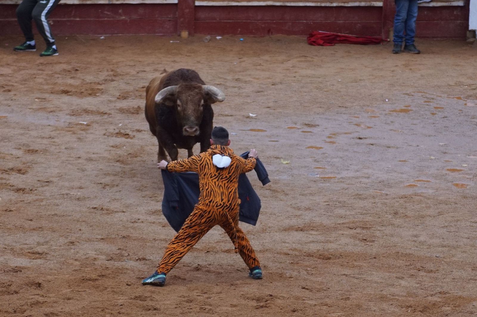 whatsapp-image-2025-03-03-at-14-50-09-2