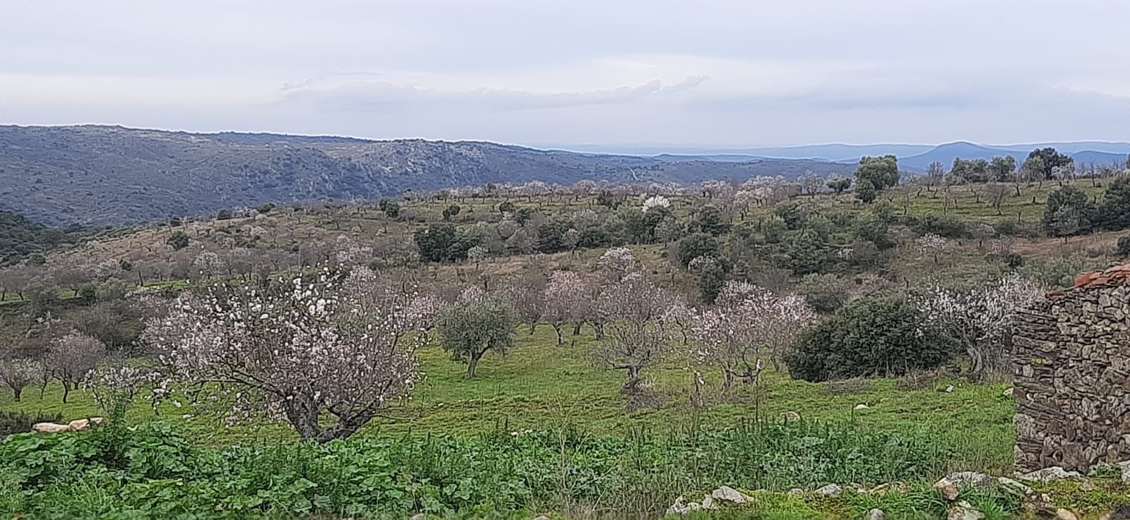 whatsapp-image-2025-02-15-at-11-10-37-1