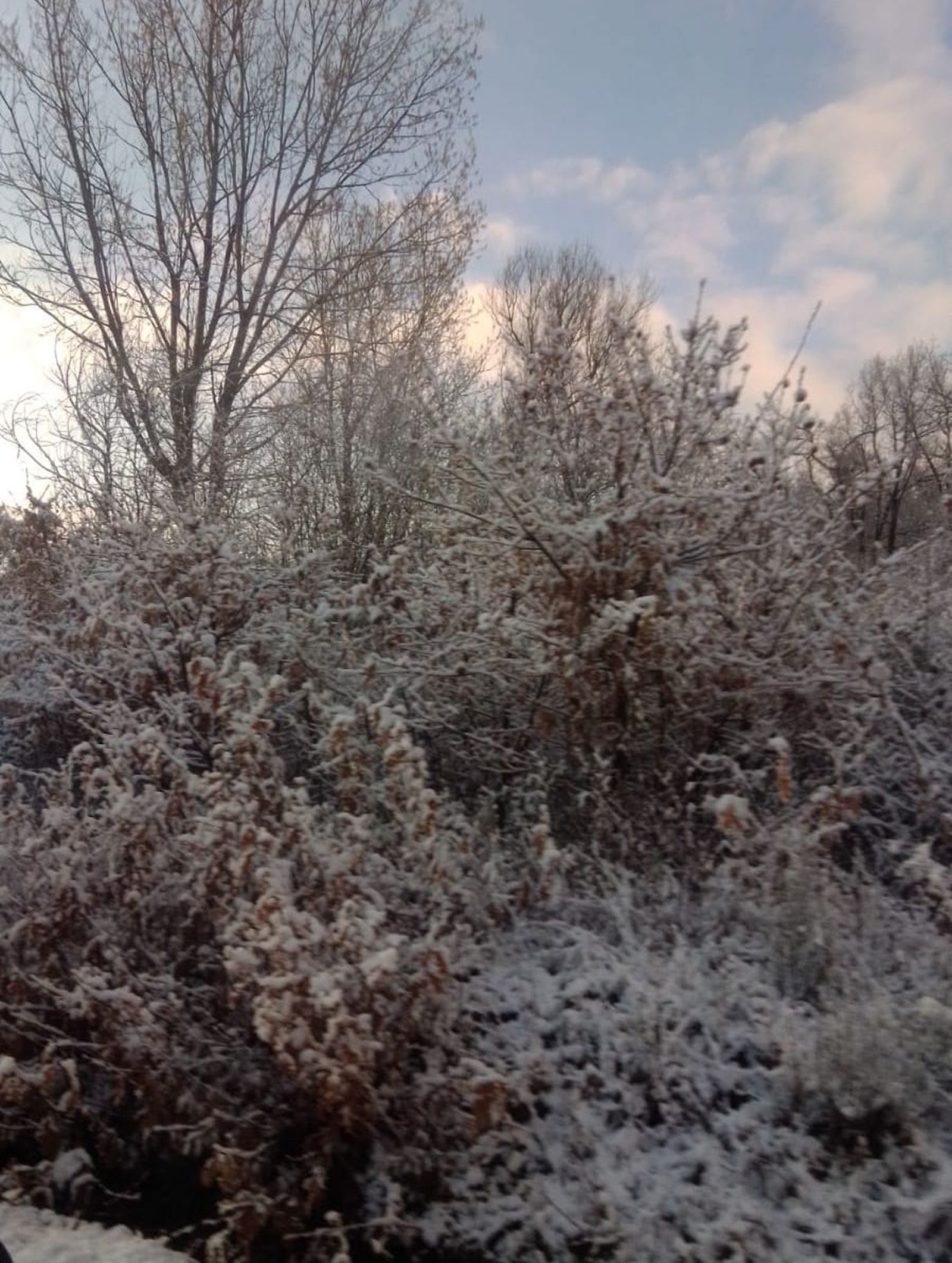 nieve-y-hielo-en-sanabria-6