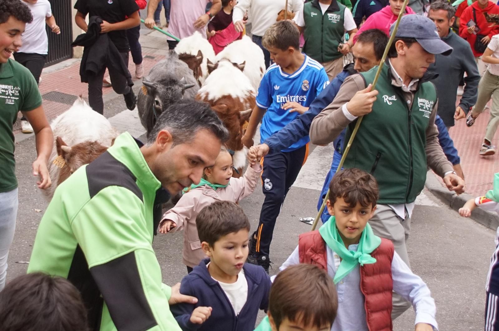 Alba de Tormes celebra un encierro, capea y encierro de minibueyes