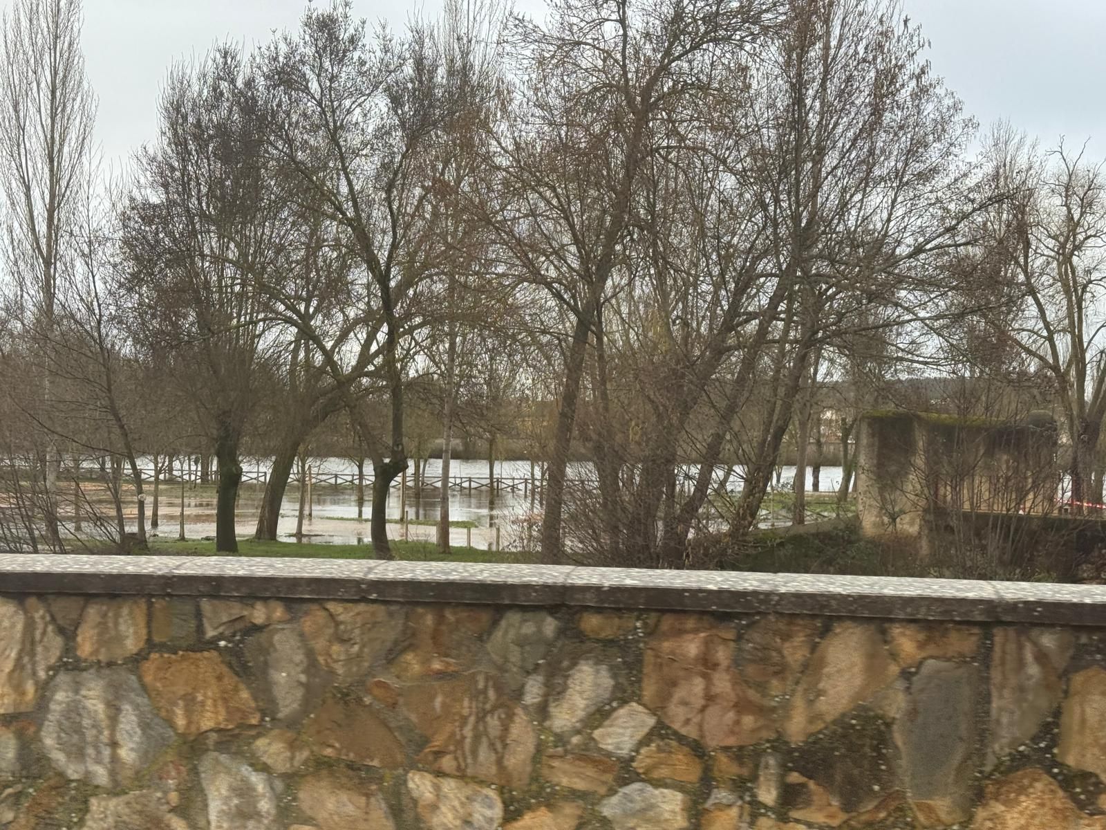 El río Águeda en la Pesquera de Ciudad Rodrigo, crecidas y desbordamientos febrero 2026