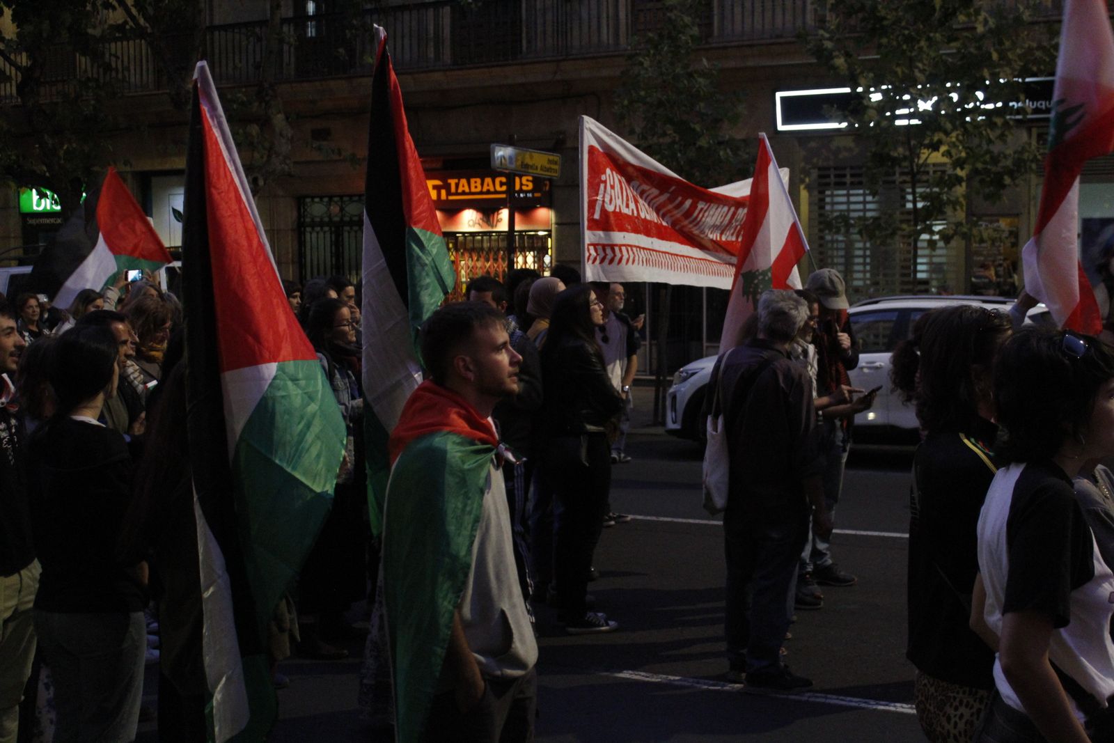 Manifestación por Palestina