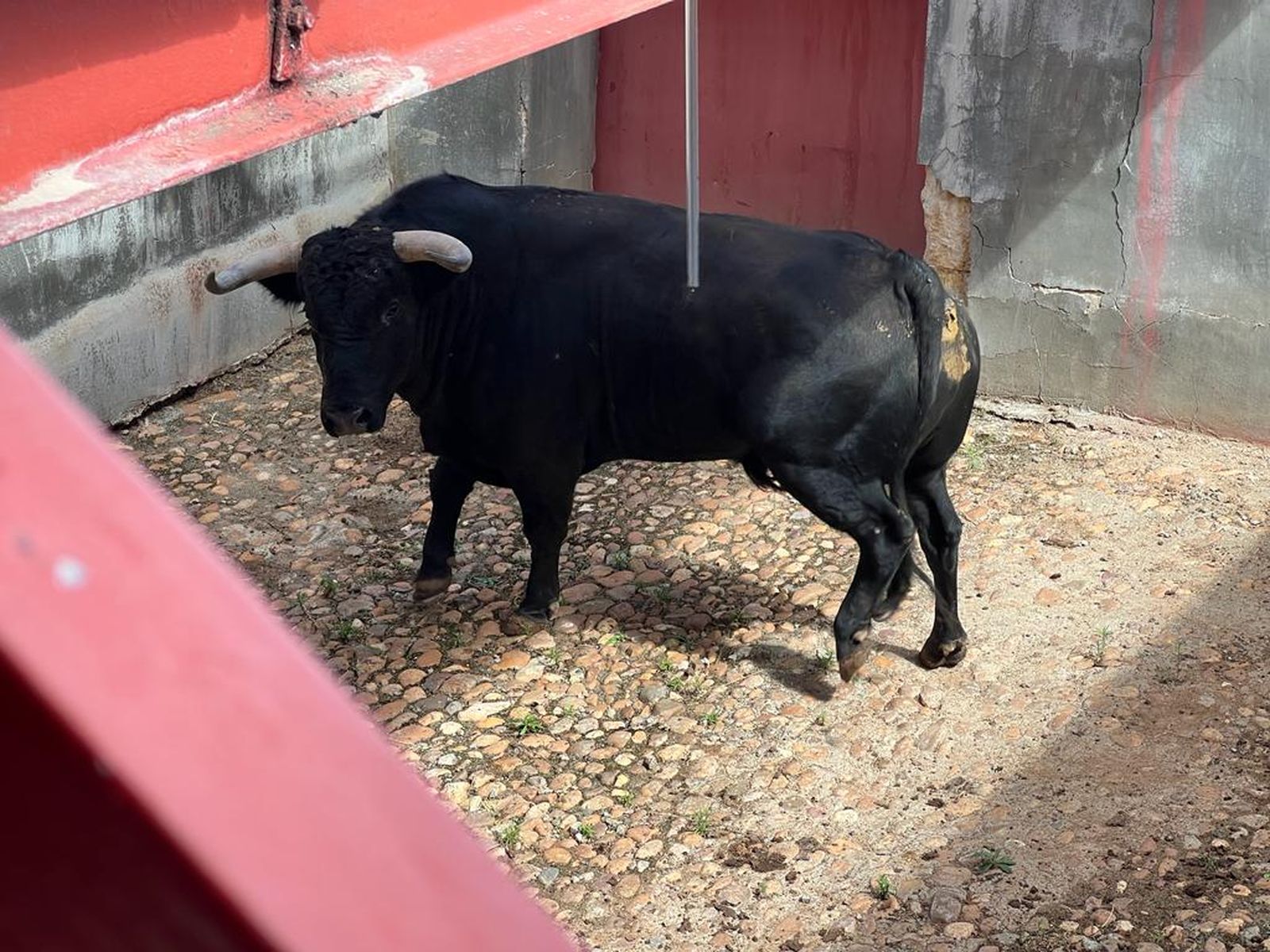 whatsapp-image-2023-09-17-at-13-01-11