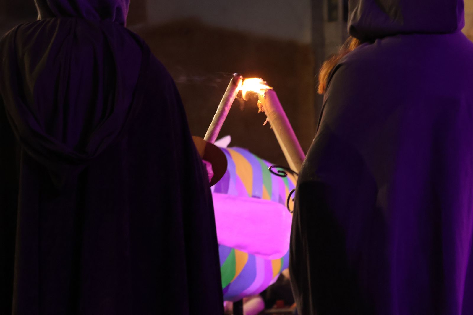 entierro-de-la-sardina-2025-54