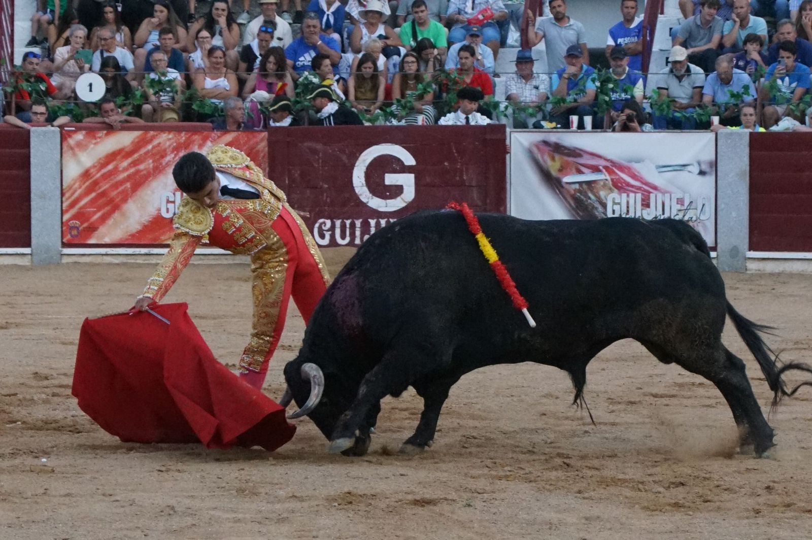 corrida-rejones-guijuelo-34