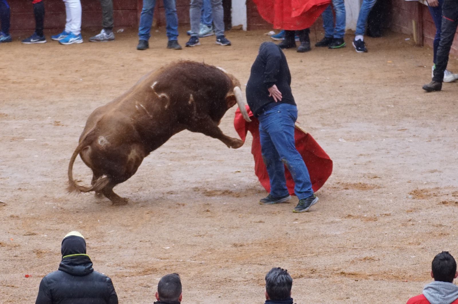 whatsapp-image-2024-02-11-at-14-02-46