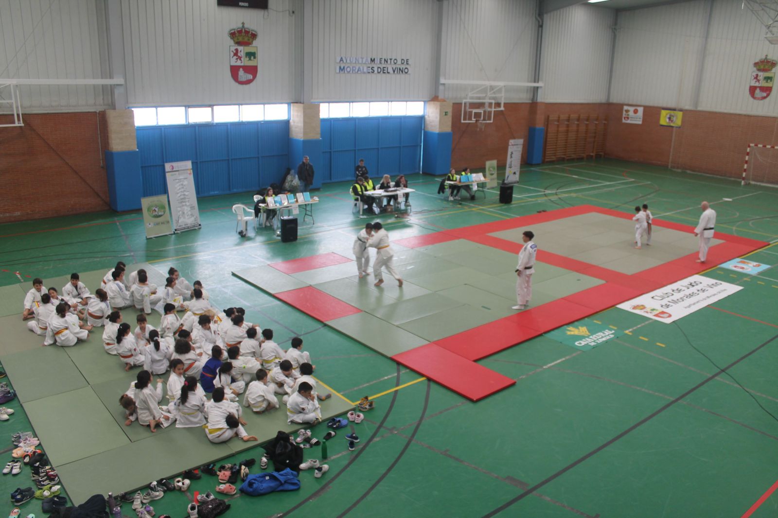 Fin de semana de mucho judo en Zamora
