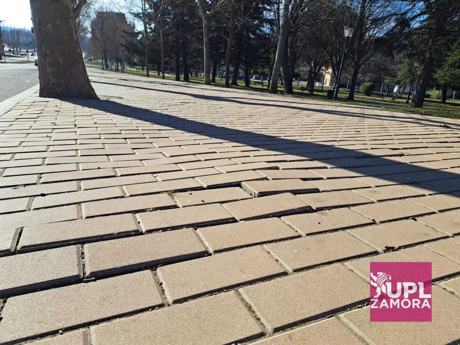 Adoquines de Cardenal Cisneros