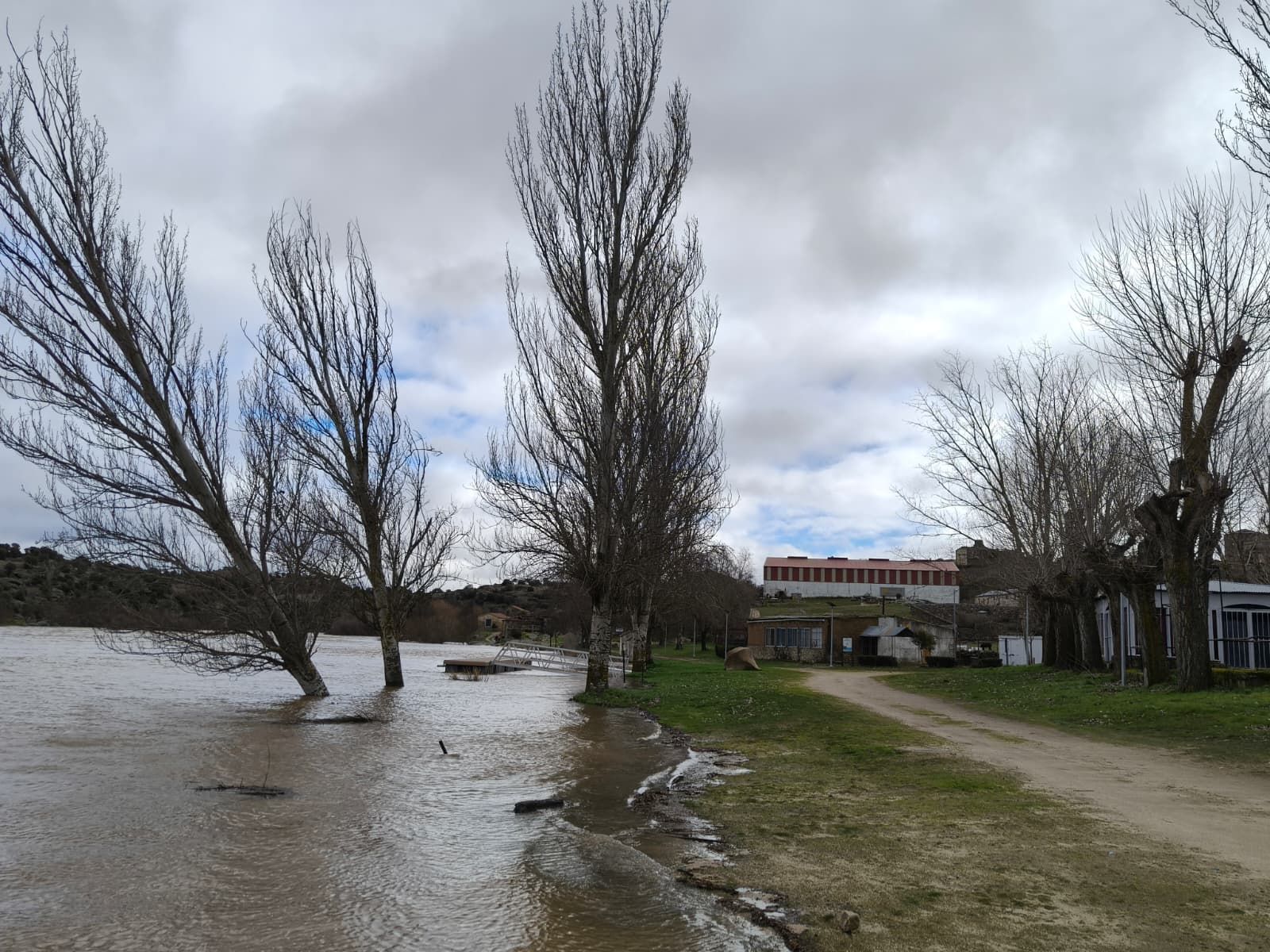 El Tormes desbordado en Ledesma  (9).jpeg