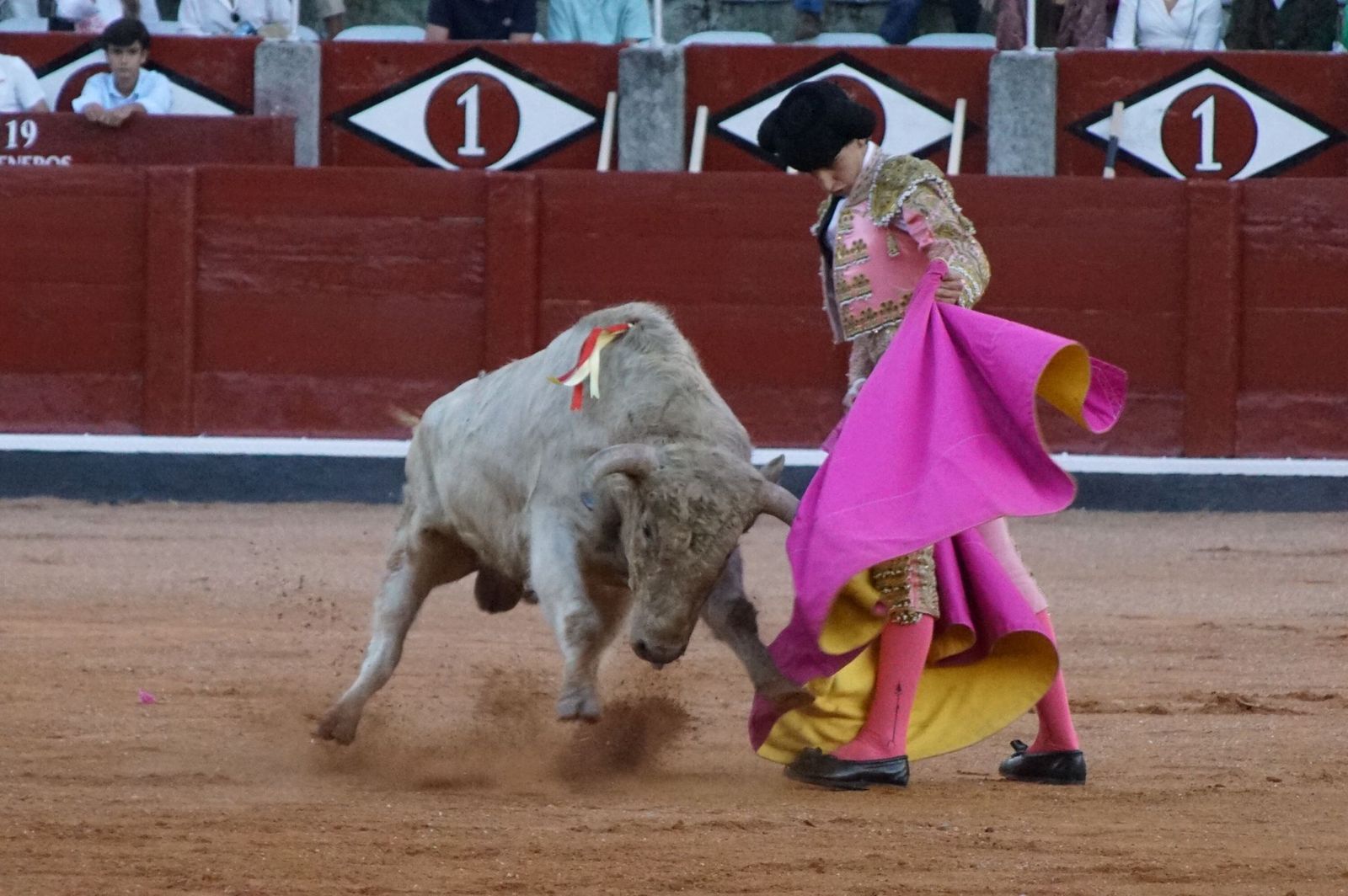 whatsapp-image-2022-09-08-at-9-21-44-pm-1