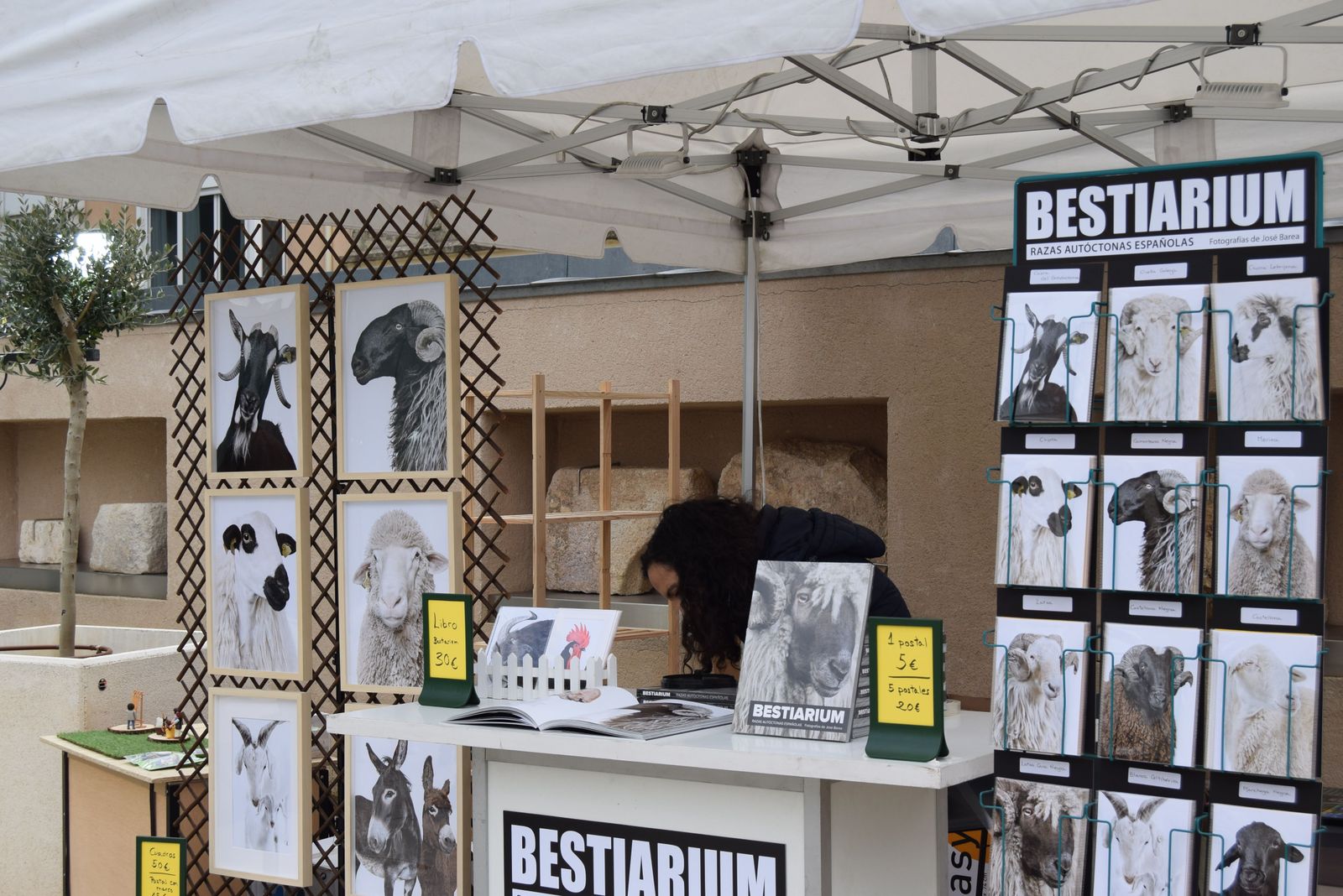 carpa-de-los-oficios-12