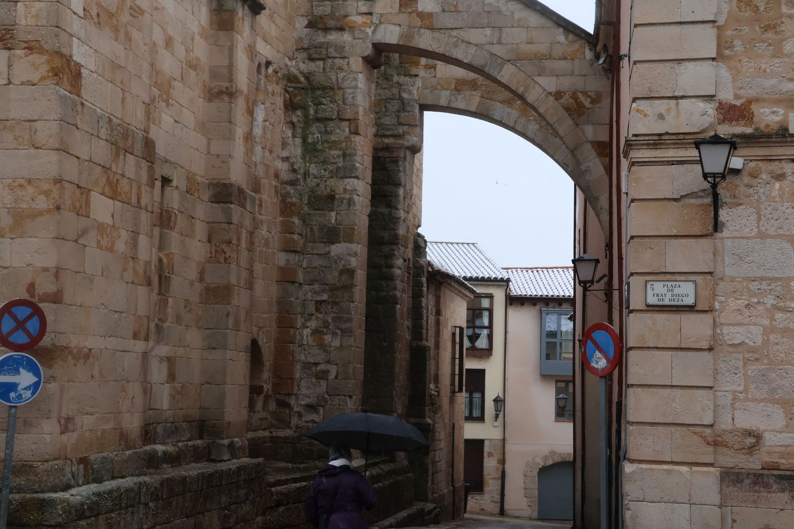 GALERÍA | Nieve en Zamora capital este miércoles