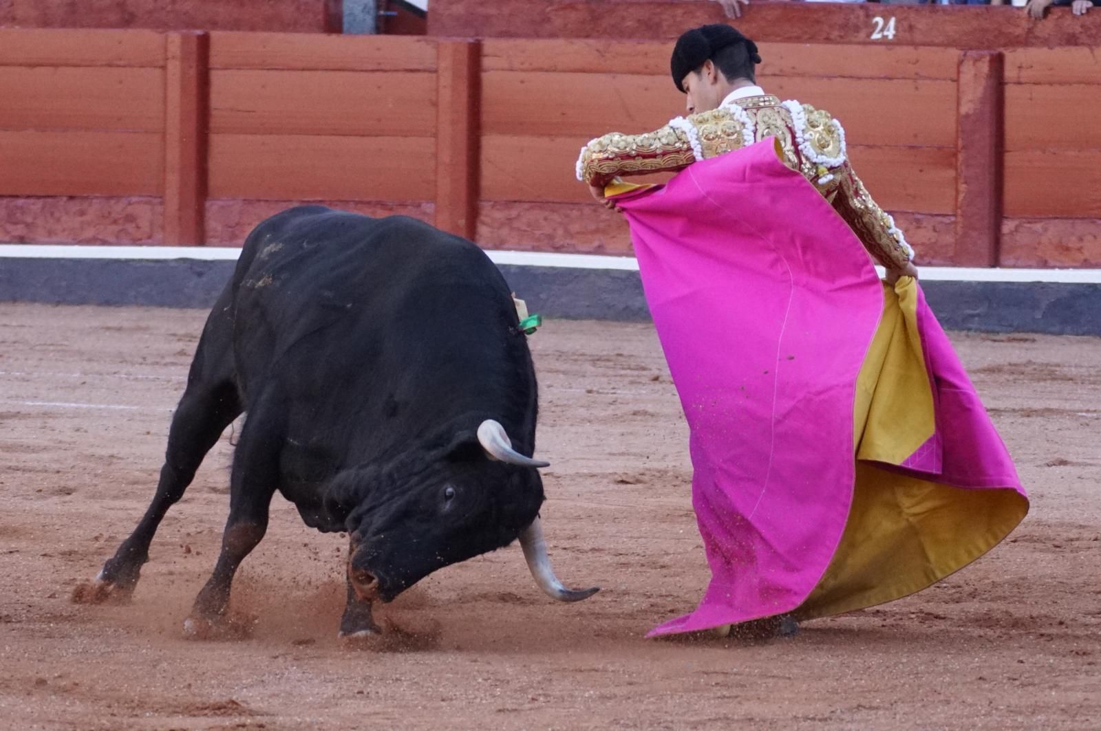 Presencia salmantina por partida doble en la primera corrida de la feria: Damián Castaño e Ismael Martín junto al mexicano Diego San Román
