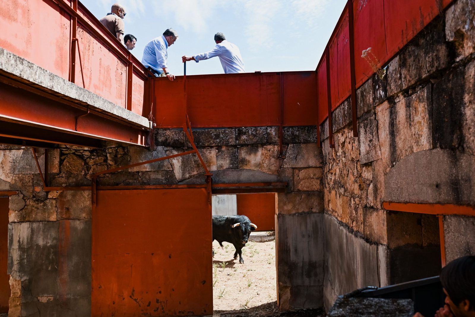 sorteo-de-los-toros-para-el-mano-a-mano-entre-morante-de-la-puebla-y-marco-perez-en-salamanca-fotos-bmf-toros-14