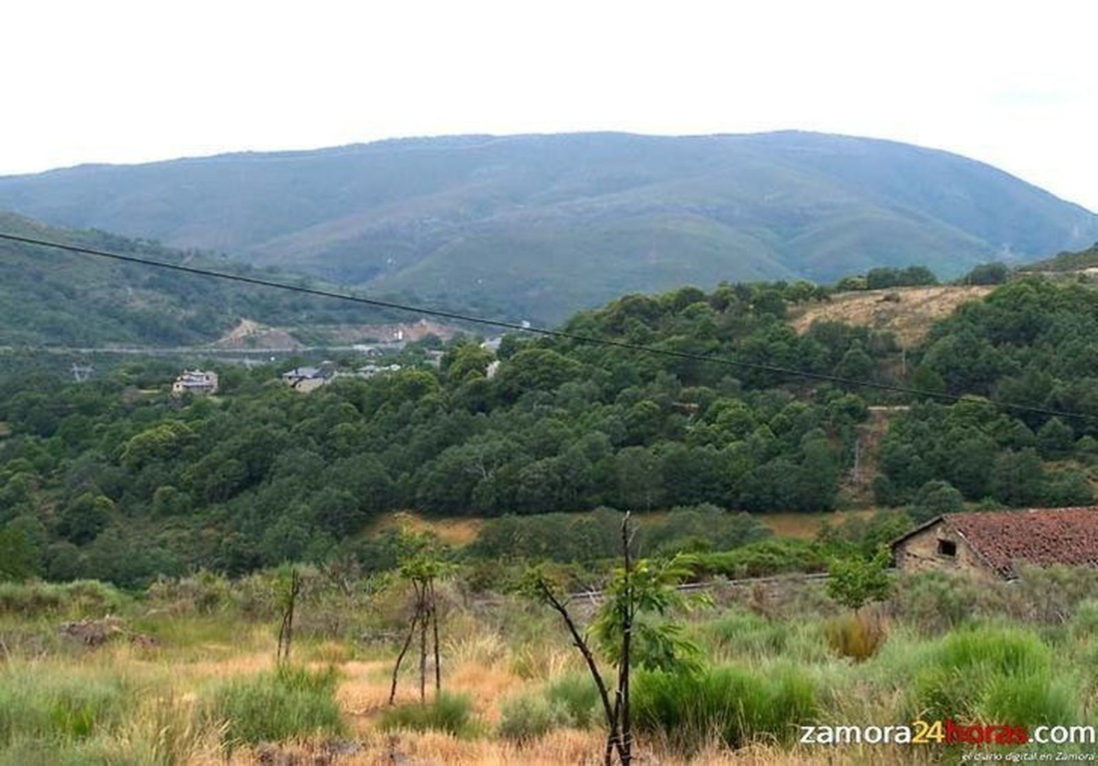 Editan un cartel con los nombres de los animales de León y Zamora en lengua leonesa