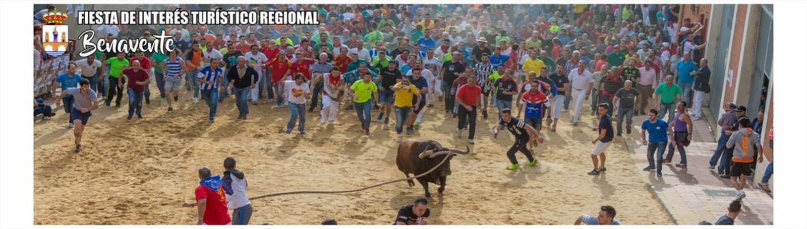 Exposicion fotografias toro enmaromado (6)