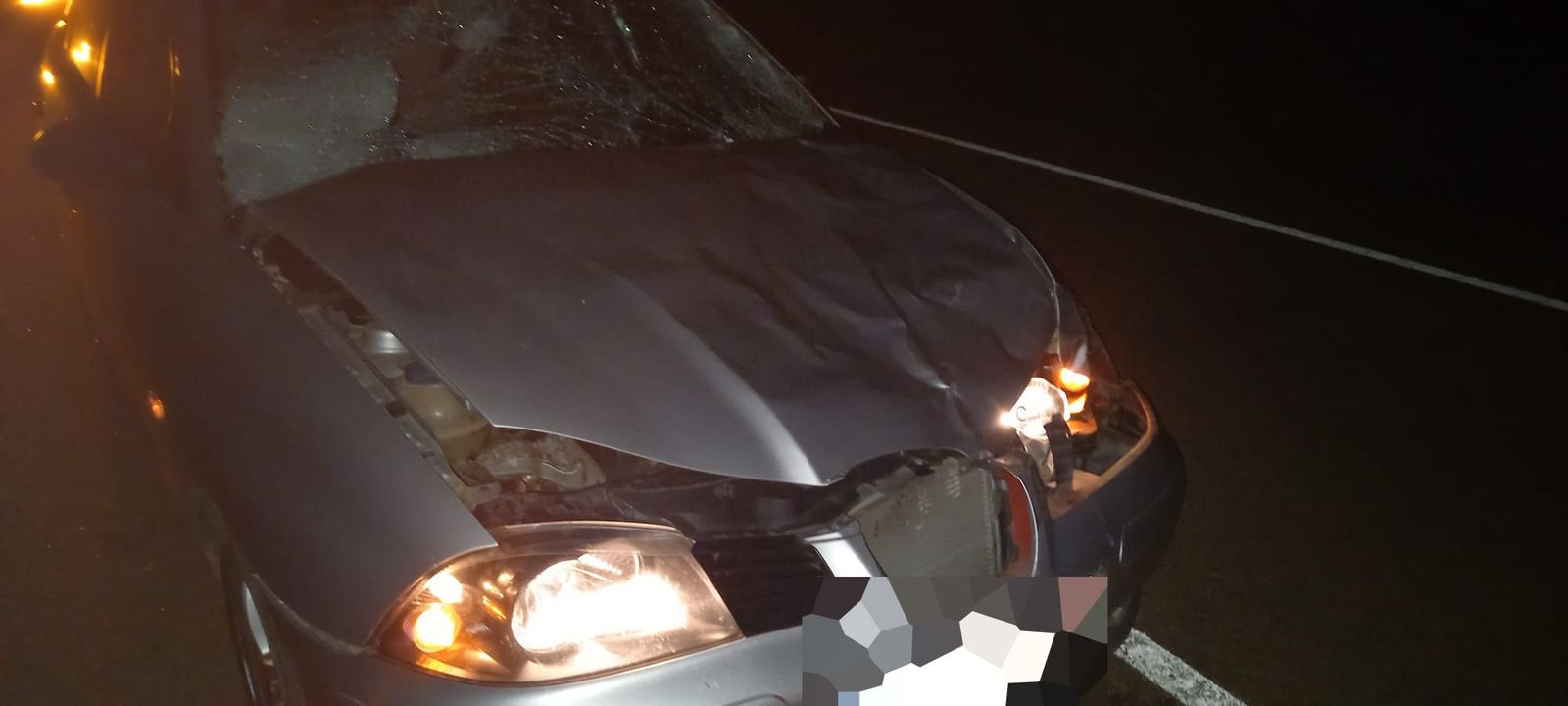 Dos heridos en un accidente de un turismo con una vaca en Zamora