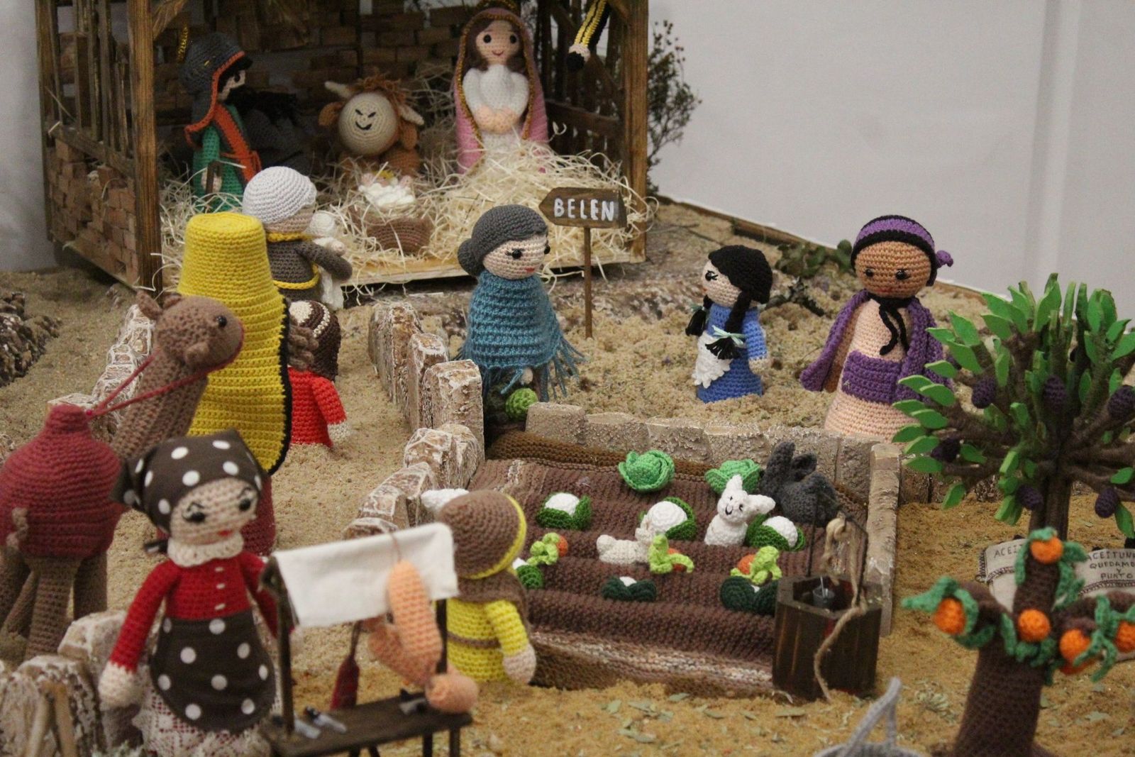 20231205185526-img-6580