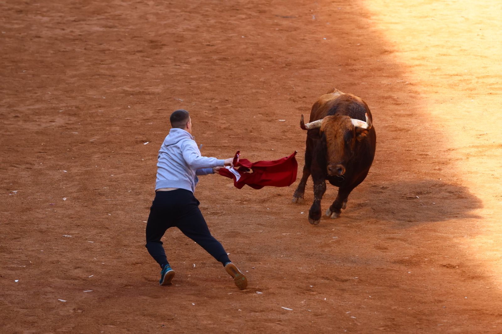 Capea de mañana en el martes del Carnaval del Toro de Ciudad Rodrigo