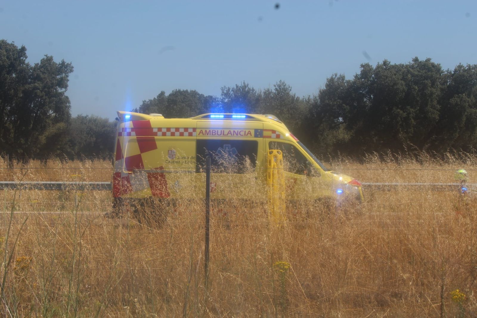 whatsapp-image-2024-07-16-at-17-04-34-1