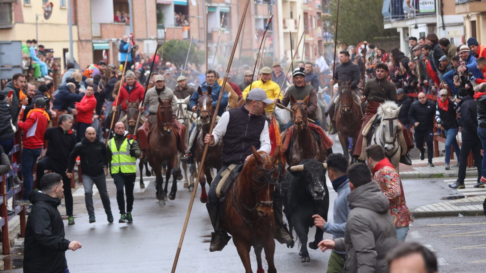 Encierro a Caballo en el Carnaval del Toro 2026 de Ciudad Rodrigo