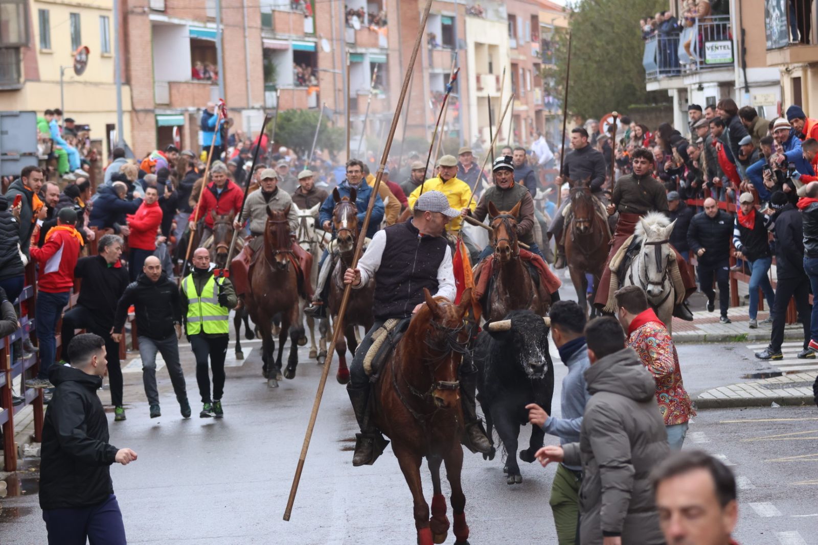 Encierro a Caballo en el Carnaval del Toro 2026 de Ciudad Rodrigo