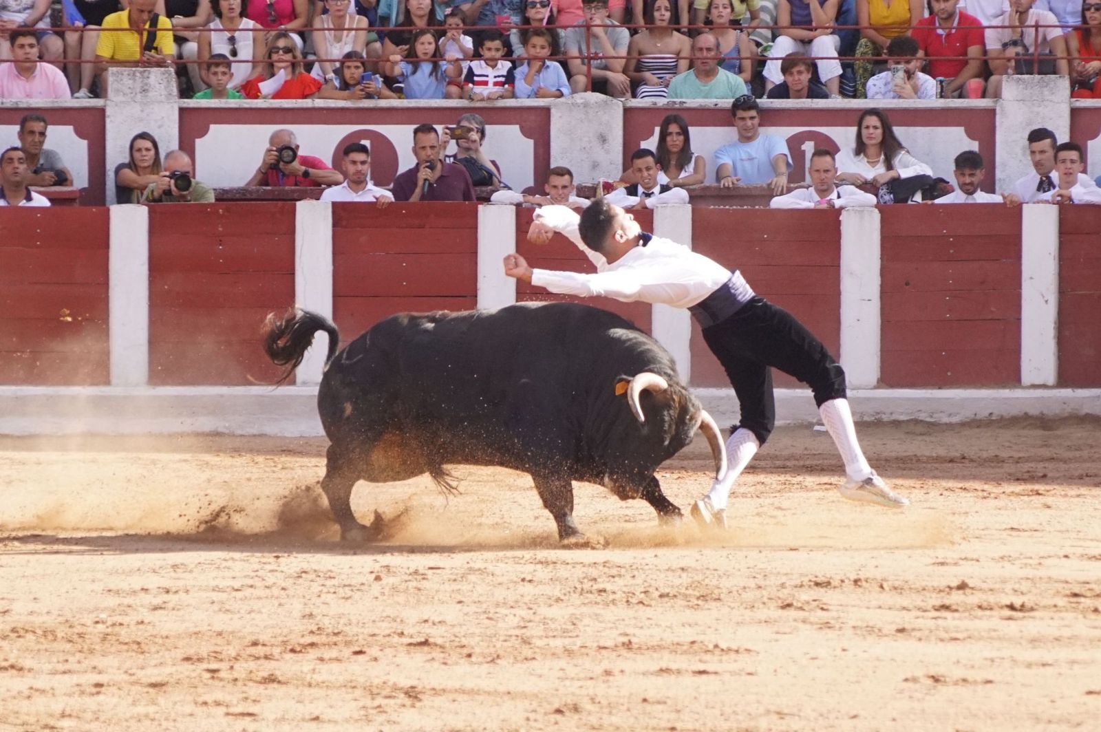 whatsapp-image-2023-07-02-at-22-40-26-1