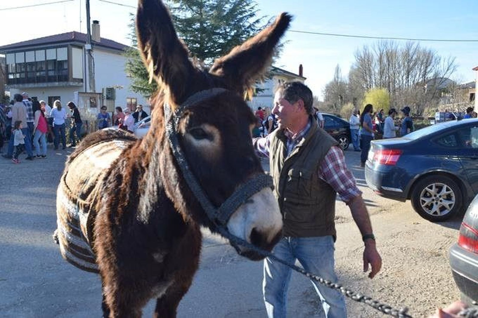 Un burro zamorano-leones. Archivo