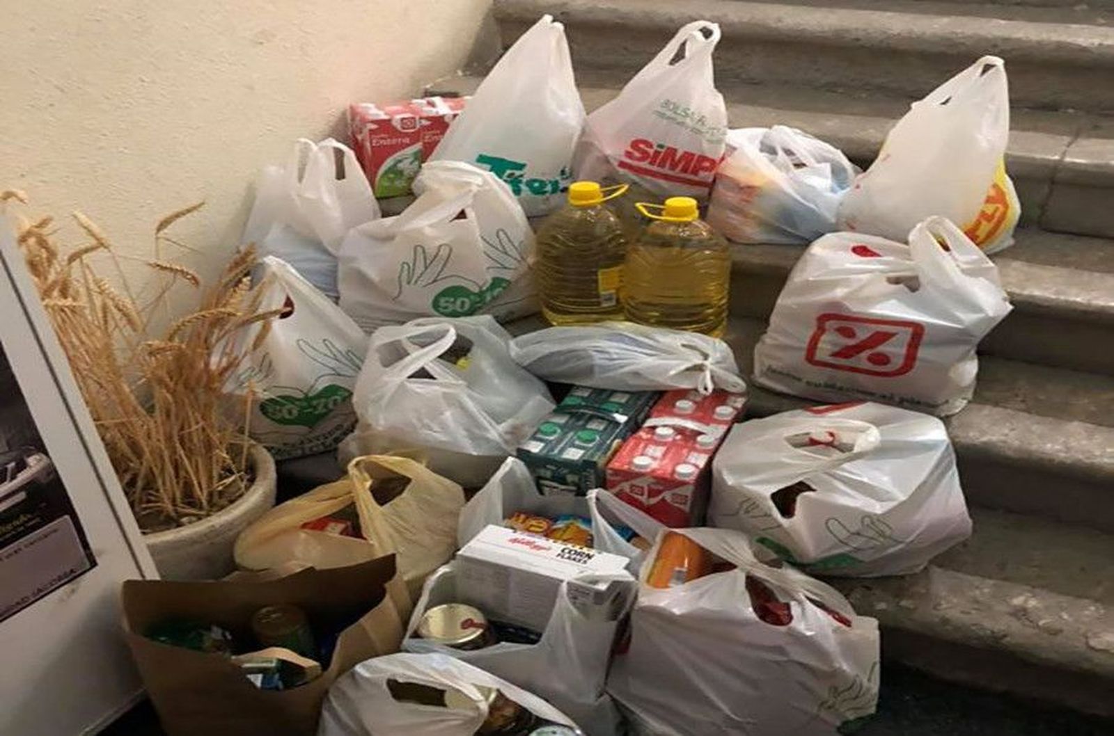 Entrega comida banco de alimentos. Archivo.